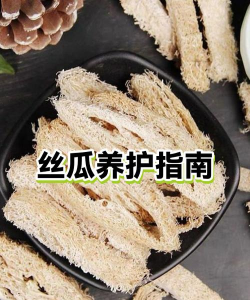 冬天丝瓜如何养殖