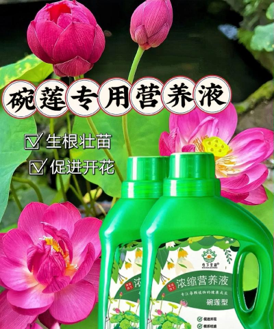 家庭养花用生根粉