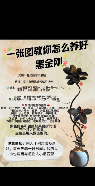 家庭养花用生根粉