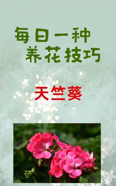 家庭养花用生根粉