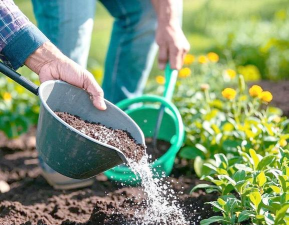 家庭养花用生根粉