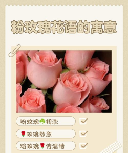 粉玫瑰象征着什么意思 粉玫瑰象征着什么意思