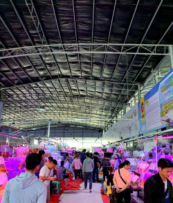 家庭养花用生根粉