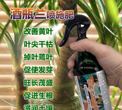 家庭养花用生根粉