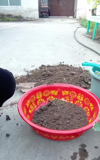 家庭养花用生根粉