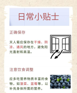 天人菊的作用是什么