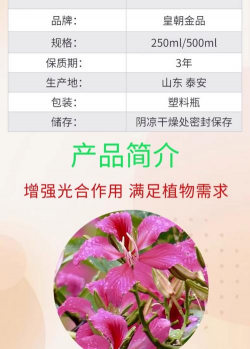 家庭养花用生根粉