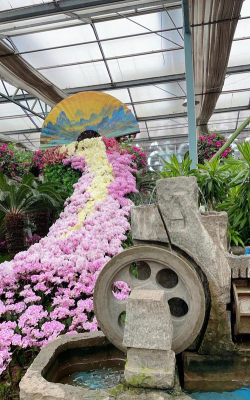 家庭养花用生根粉