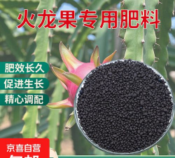 火龙果花盆用什么肥 火龙果花盆用什么肥