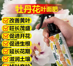 家庭养花用生根粉