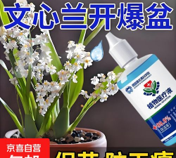 家庭养花用生根粉