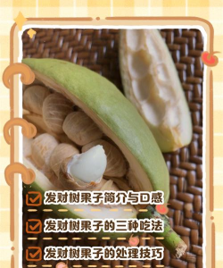 发财树果子怎么摘