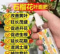 家庭养花用生根粉