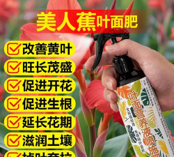 家庭养花用生根粉