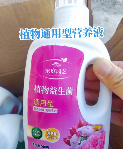 家庭养花用生根粉