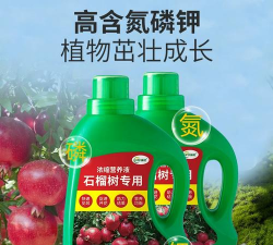 家庭养花用生根粉