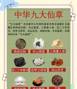 什么是中华九大仙草