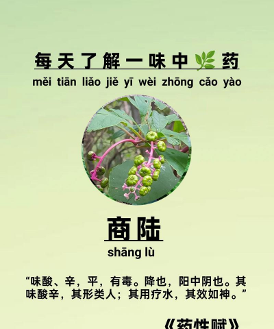 商陆怎么做农药