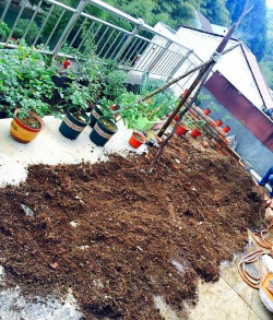 家庭养花用生根粉