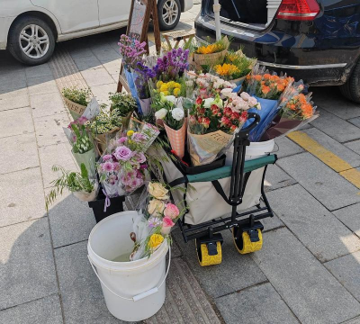 家庭养花用生根粉