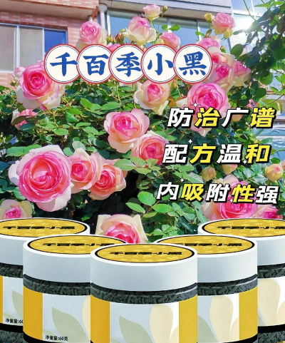 家庭养花用生根粉