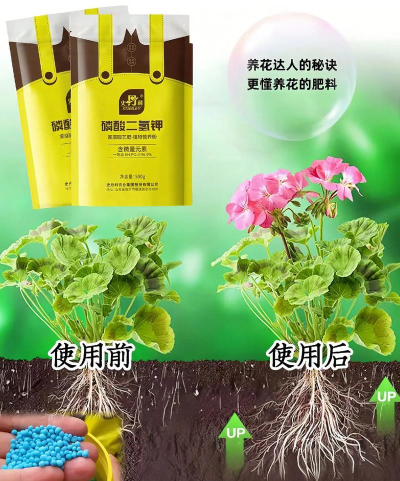 家庭养花用生根粉