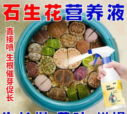 家庭养花用生根粉