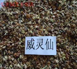 威灵仙施什么肥好