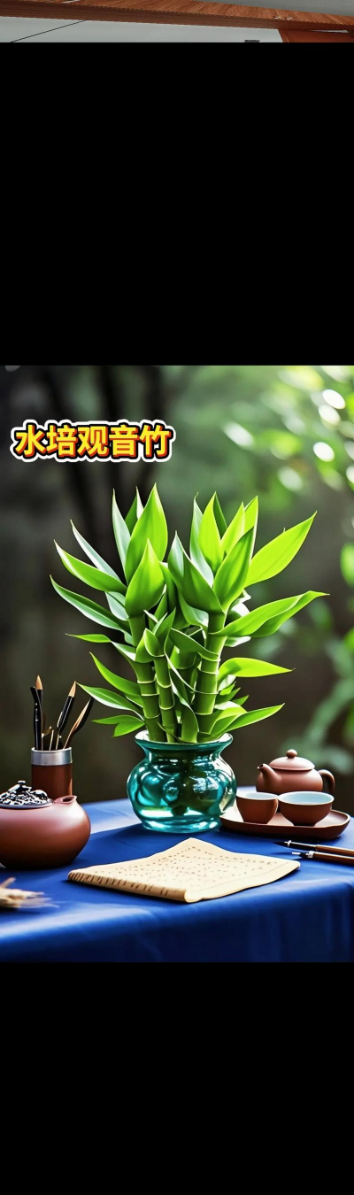 如何促使莲花竹长根