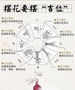 养花的方位
