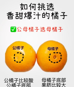 怎么形容一盆橘子