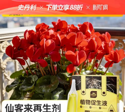 家庭养花用生根粉