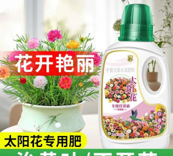 家庭养花用生根粉