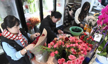 家庭养花用生根粉