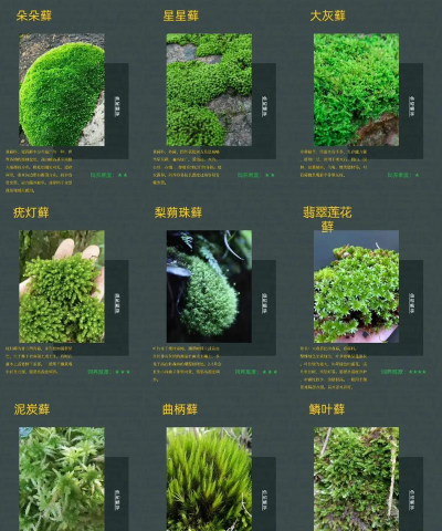 苔藓植物在什么方面重要