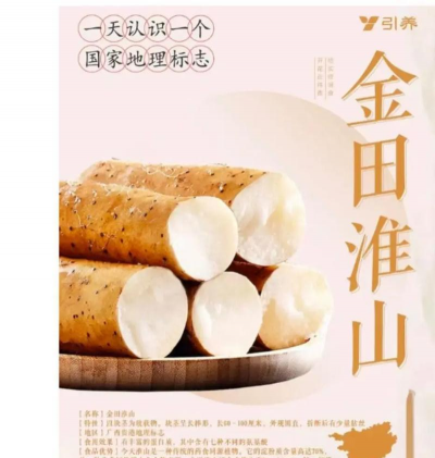 买淮山山药认准什么品牌