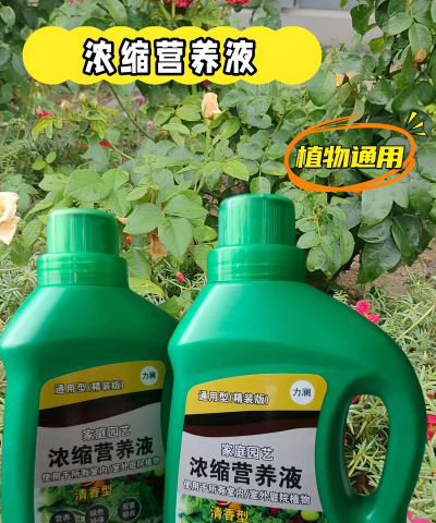 家庭养花用生根粉