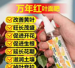 家庭养花用生根粉