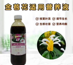 家庭养花用生根粉