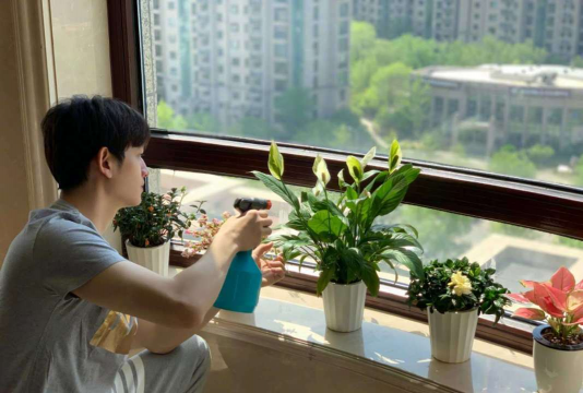 男的 养花 男的 养花