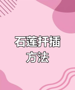 家庭养花用生根粉