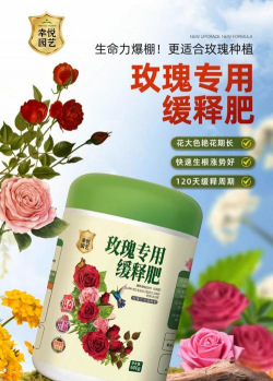 家庭养花用生根粉