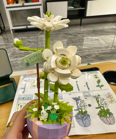 家庭养花用生根粉