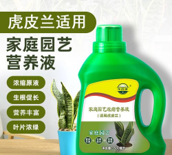 家庭养花用生根粉