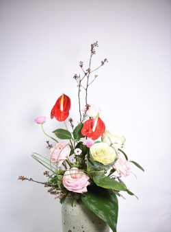 家庭养花用生根粉