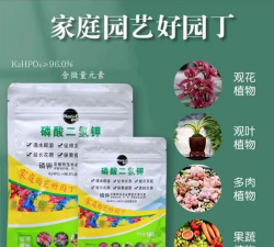 家庭养花用生根粉