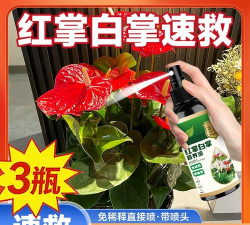 家庭养花用生根粉