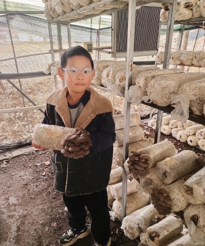 家庭养花用生根粉