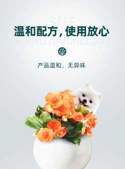 家庭养花用生根粉