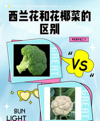 花和花椰菜怎么区别